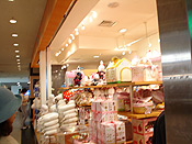 The Store at Narita