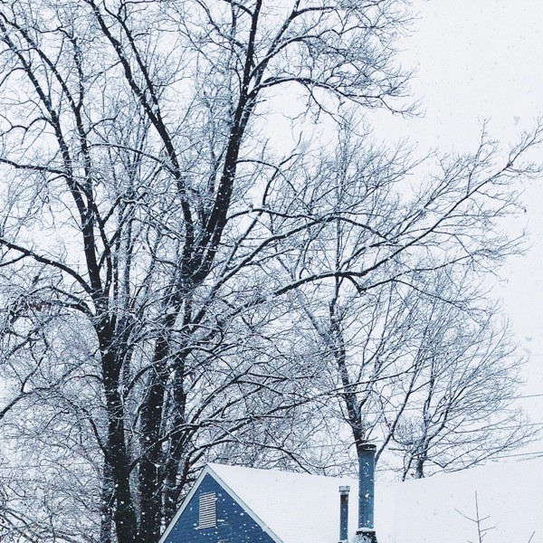 photo from a snowy day