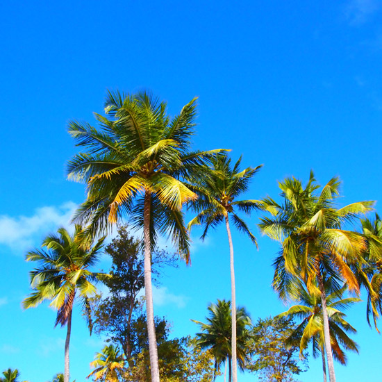 Puerto Rico