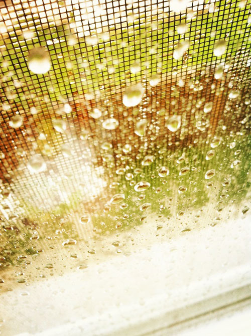 Rain outside today, it's iPhone photo, sorta impressive right!? Oh yeah white iPhone looks less pretty than I imagined... I think I will stay with black