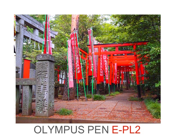 Photo I took using the Olympus PEN E-PL2 camera