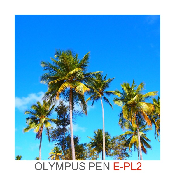 Photo I took using the Olympus PEN E-PL2 camera