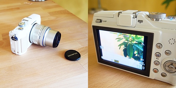 Olympus PEN E-PL2 camera