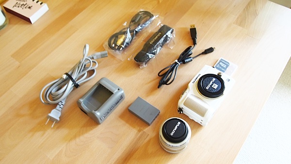 Olympus PEN E-PL2 camera