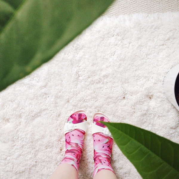 white sandals with so ugly they are cute watermelon socks between the leaves of a money tree