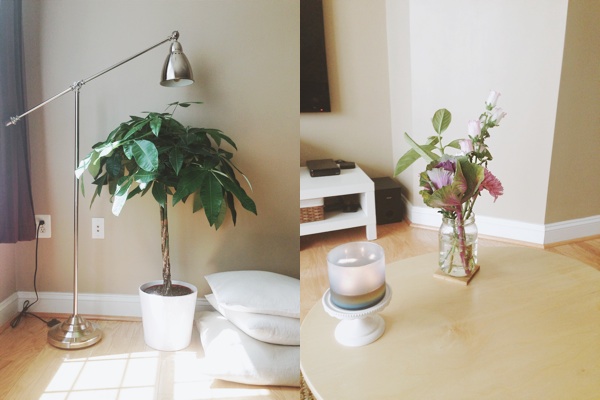 mellow images of the living room on a cooler day
