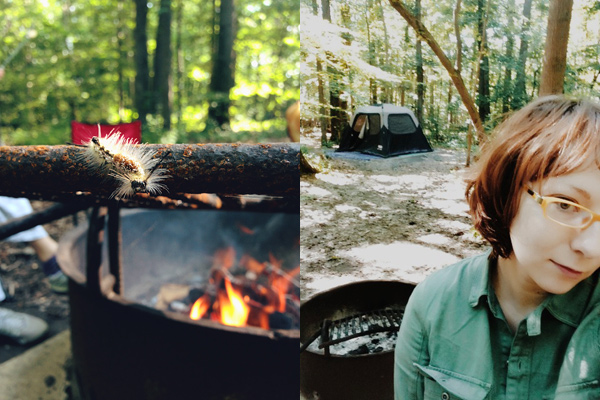 scenes from camping