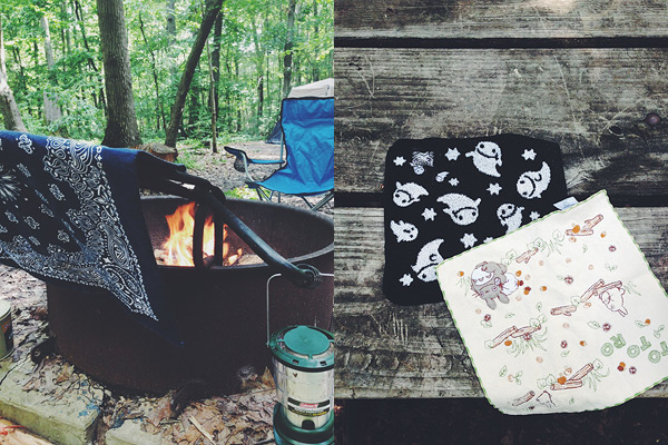 scenes from camping