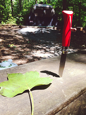camping photo