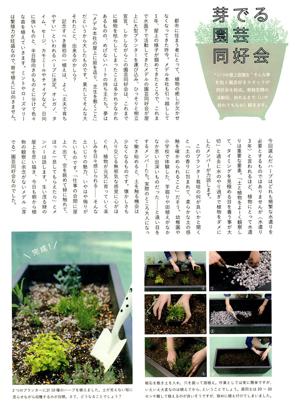 Mederu Japanese jewelry