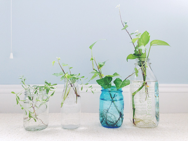 muji essential oils