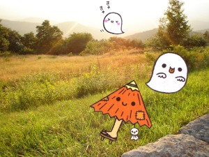 a photo I took.... mwahahaha