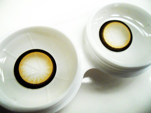 the lenses