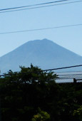 Mt. Fuji