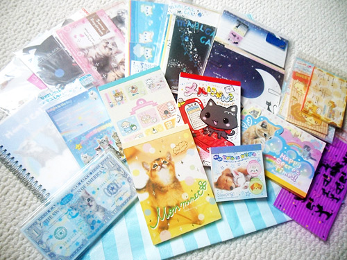 kitty lot