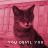 I love my kitty, she's a bitch just like me...... seriously