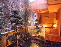 private onsen