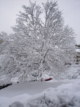 lovely outside