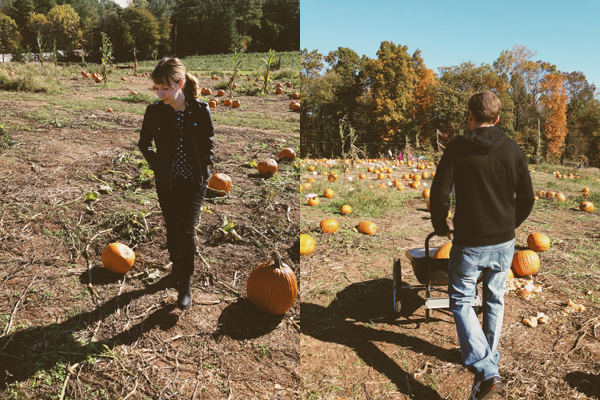 pumpkin themed weekend