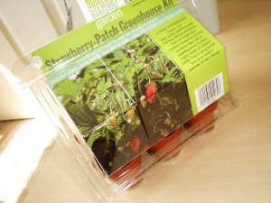 strawberry pack