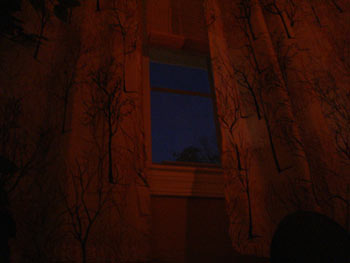 looking out my window
