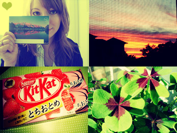 postcard, sunset, strawberry kit-kat, clovers
