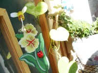 my garden
