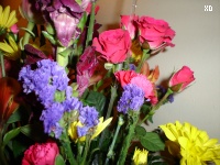 so pretty!