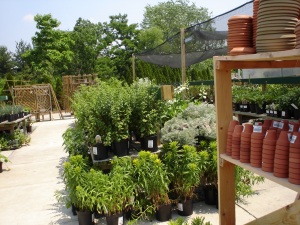 garden center
