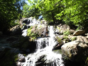 my vacation in the mountains