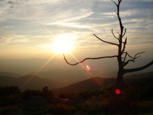 my vacation in the mountains